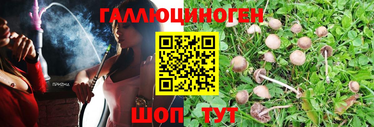Шадринск  Псилоцибиновые грибы мицелий  Вход с VPN 